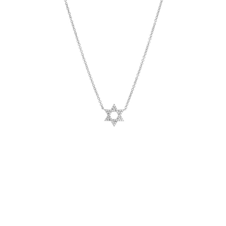 שרשרת צ׳וקר מגן דוד עדינה מכסף טהור S925 תמונה ראשית